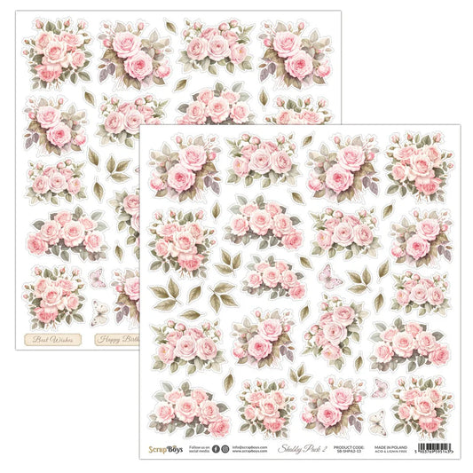 Scrap Boys Shabby Pack 2 Single Sheet