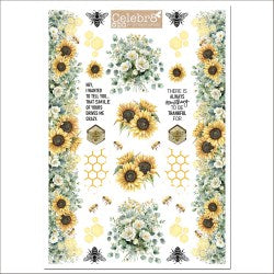 Celebr8 Coloured Adhesive Acetate